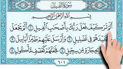 قراءة سورة الفيل مع التأشير للصف الثاني الابتدائي