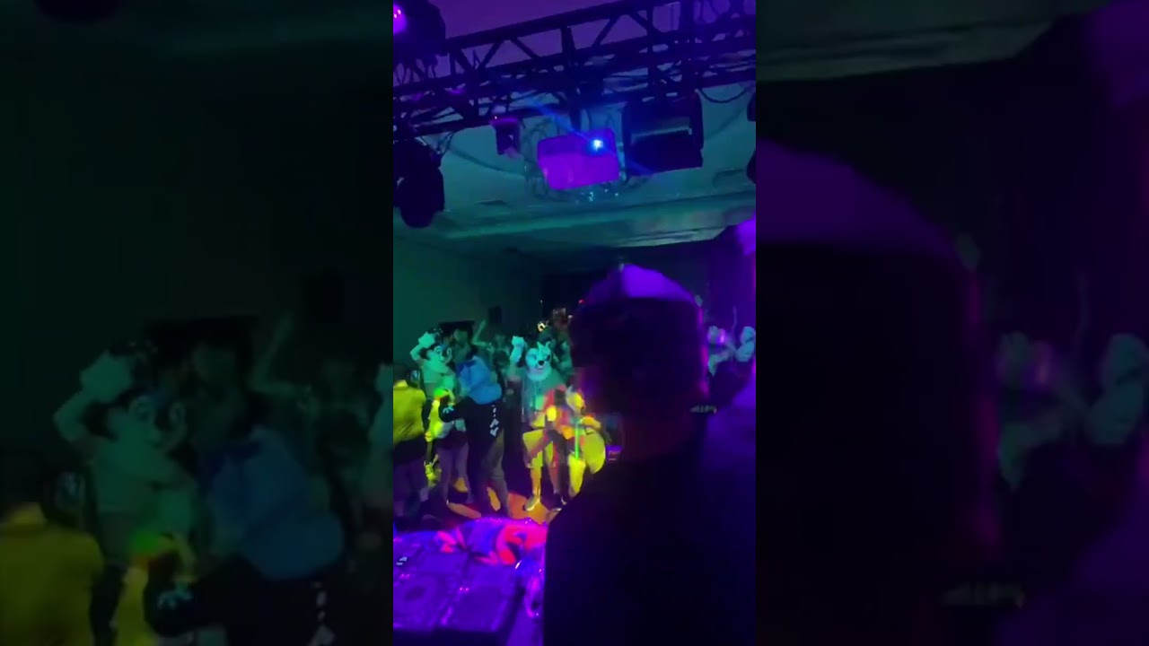 DJing for animal people is kinda crazy ngl 