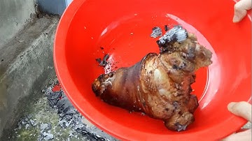 CÁCH LÀM MÓN CHÂN GIÒ HẦM THUỐC BẮC CHO NGƯỜI MỚI ỐM DẬY