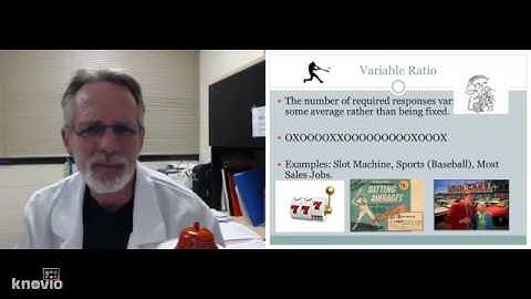 B.F. Skinners Schedules of Reinforcement