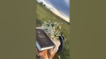 تلاوة خاشعة | ن والقلم وما يسطرون | سورة القلم بصوت جميل