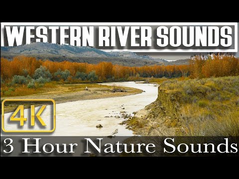 4K - 3 HR - Relaxing Western River Sounds - Wind and Water - Montana For Sleep and Calm