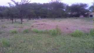Tanzania 4