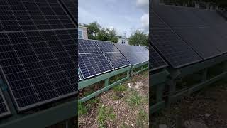 Why I went with ground mount solar panel racks made of wood #shorts