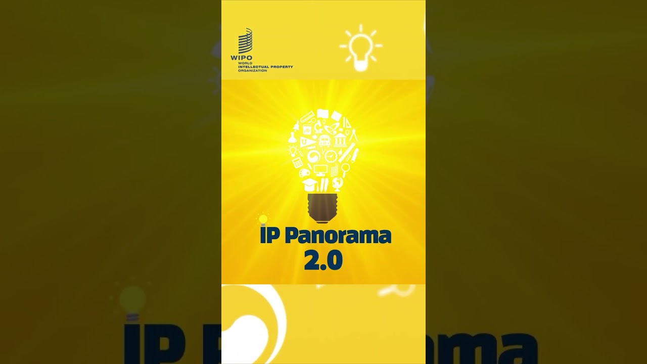 IP Panorama 2 0
