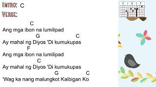 Miss Oli: Ang Mga Ibon Na Lumilipad - Key of C