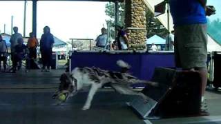 Stat warming up for Flyball singles