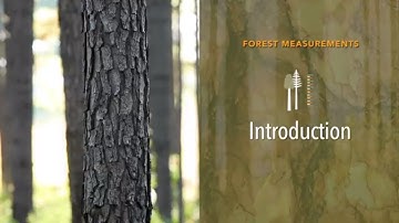 Forest Measurements: Introduction
