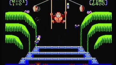 Donkey Kong 3 (NES) Title Screen & Demo