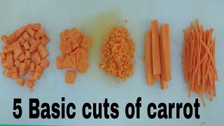 5 Basic cuts of carrot | knife skill with carrot| Gajar cuts | gajar katne k tarike | carrots cuts