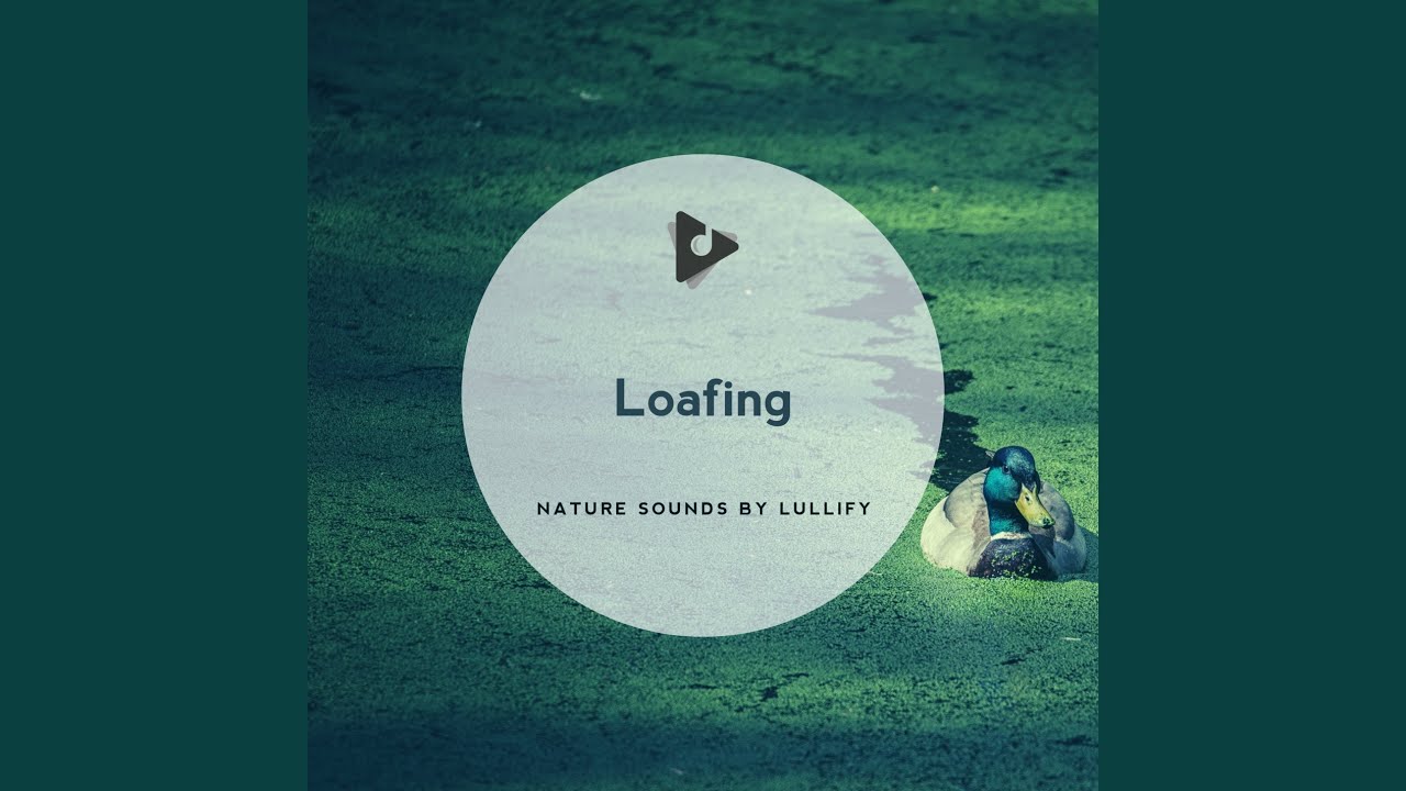 Watch Ring Necked on YouTube Watch Ring Necked on YouTube