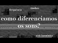 Série Harmônica - The overtone series - os timbres dos sons