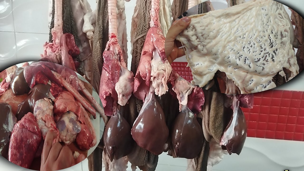 الدوارة غنمي مليحة باقي جديدة ها شحال دايرة ثمن الدوارة ديال الغنمي المليح اللهم بارك