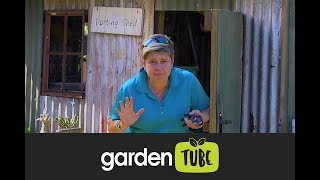 Do's and Don'ts of Pruning