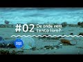 De onde vem tanto lixo? | MARES LIMPOS #2