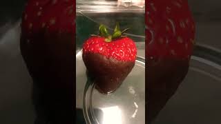 #lasvegas #chocolatecoveredstrawberries #youtubeshorts