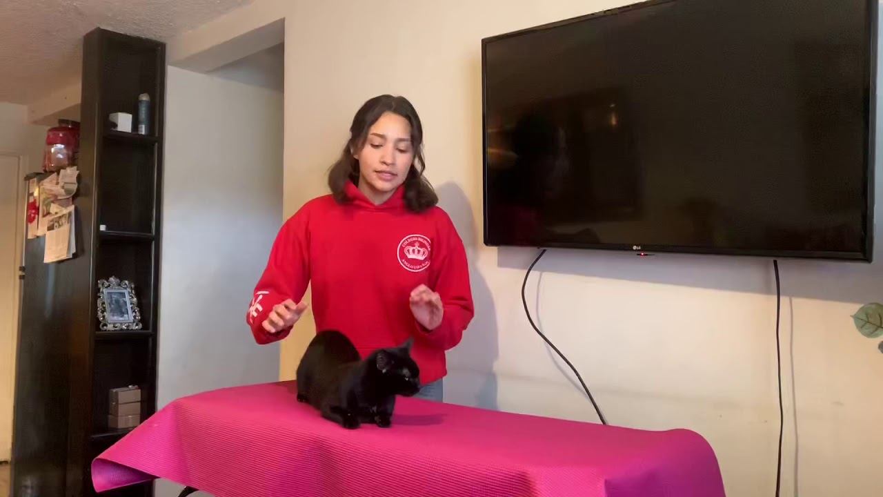 Técnicas de sujeción de perros y gatos