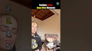 Ranking Funny Dogs Filter Moments 😂