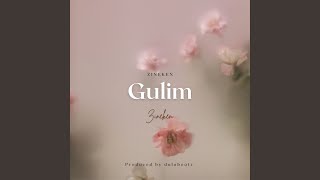 Video thumbnail of "Zineken - Gulim"
