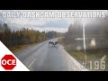 Daily Observations 197 [Dashcam Europe]