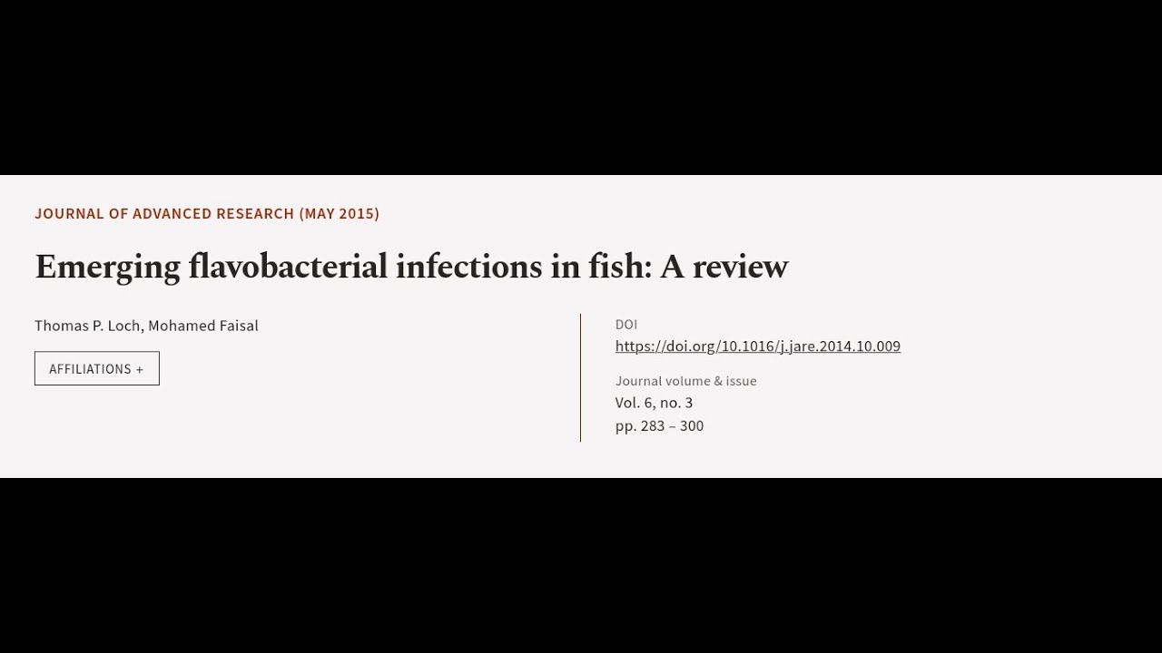 Emerging flavobacterial infections in fish: A review | RTCL.TV