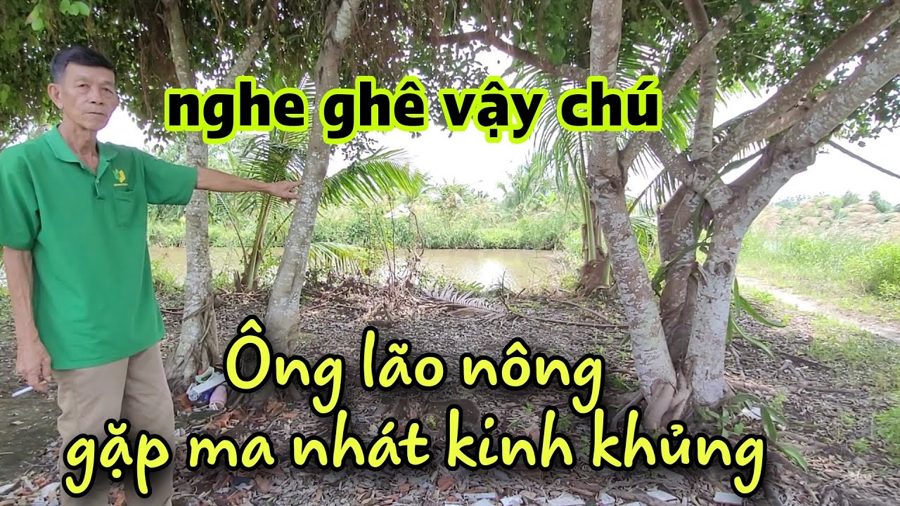 Ly kỳ Ông lão nông bị ma nhát kinh khủng nghe nổi óc ác tại U Minh Hạ Cà Mau