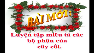 Tập Làm Văn Lớp 4 Tuần 23 : Luyện tập miêu tả các bộ phận của cây cối SGK/50