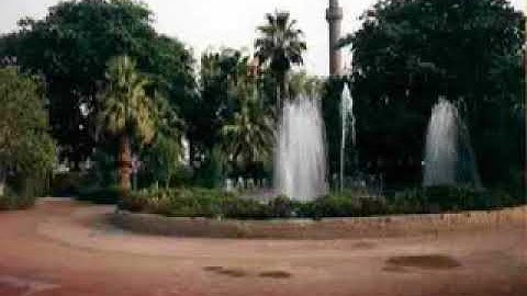 سورة نوح برواية السوسي عن أبي عمرو الشيخ أحمد سمير