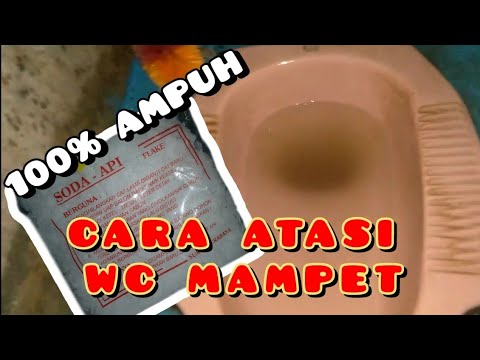 CARA MENGATASI WC MAMPET
