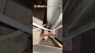 How split-level homes can negatively impact efficiency - limiting energy loss!🔋 #energy #home #hvac Wealth