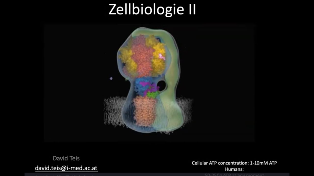 David Teis LV 033003 "Modul MM 2.2: Zellbiologie II"