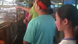 1070410五年級單車鐵馬行 柏昇家9