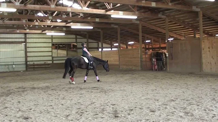 Janice Dill rides Pearl 2