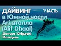 Мальдивы ( Maldives). Дайвинг в южной части Ari атолла ( Alif Dhaal) 1 часть