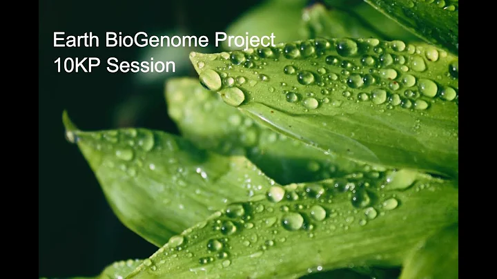 Завершение проекта Earth Bio Genome - сессия 10KP