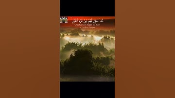 تلاوة عراقية حزينة #تلاوةخاشعة #قرآن_كريم