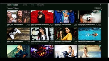 Template 7 - Color Scheme 7 (For Video Website)