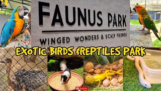 Faunus park| Exotic birds & Reptiles Park | Chennai ECR Panaiyur | Viki'z Findingz