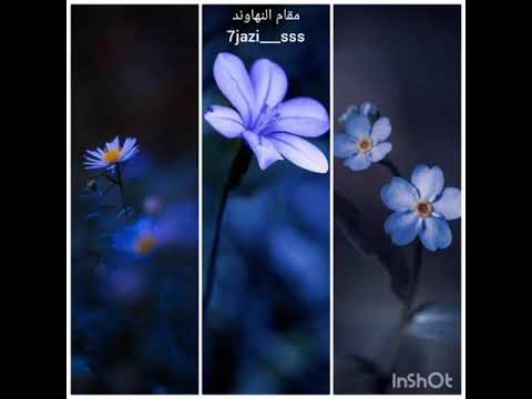 الشيخ محمد عمران ابتهال الليل اقبل والوجود سكون