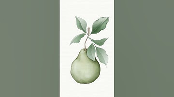 Botanical Pear - Procreate Timelapse