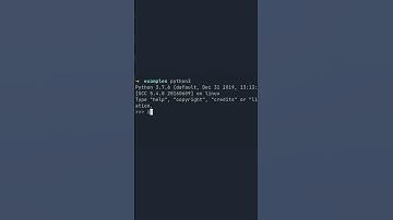 Get the Current Working Directory - 1 Minute Python Tutorial #shorts