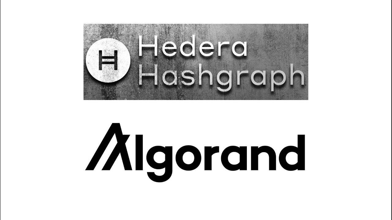 Hedera Vs Algorand