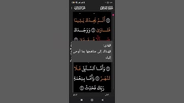 سورة الضحى بصوت القارئ الشيخ هاني الرفاعي