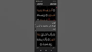 سورة الضحى بصوت القارئ الشيخ هاني الرفاعي 