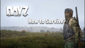 What To Do First When You Spawn – DayZ Beginner Guide (2025)