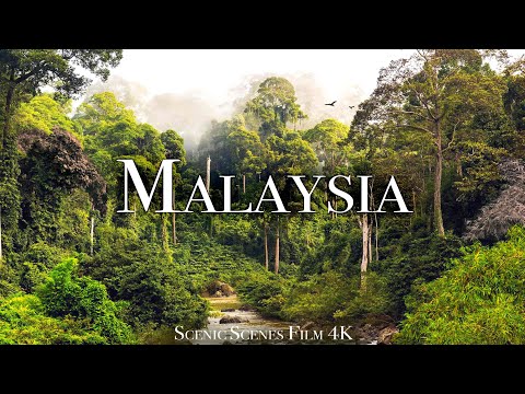 Malaysia In The Land Of Beautiful Topical Rainforest Scenic Relaxation