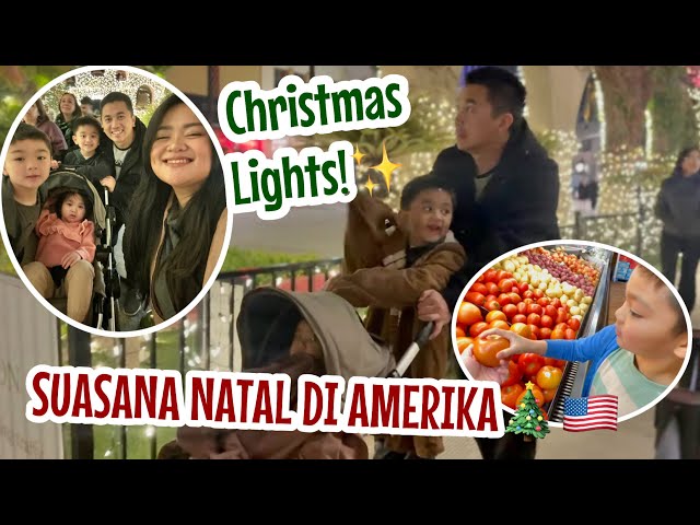 Christmas Vibe di Amerika🇺🇸🎄 belanja di Asian Market🛒 | Vlogmas 2023 day 1-3! | 608 class=