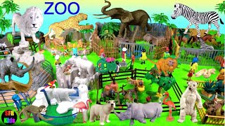 Big Cat Week -  Zoo Animals Lion Jaguar Elephant Zebra Rhino जानवरों,