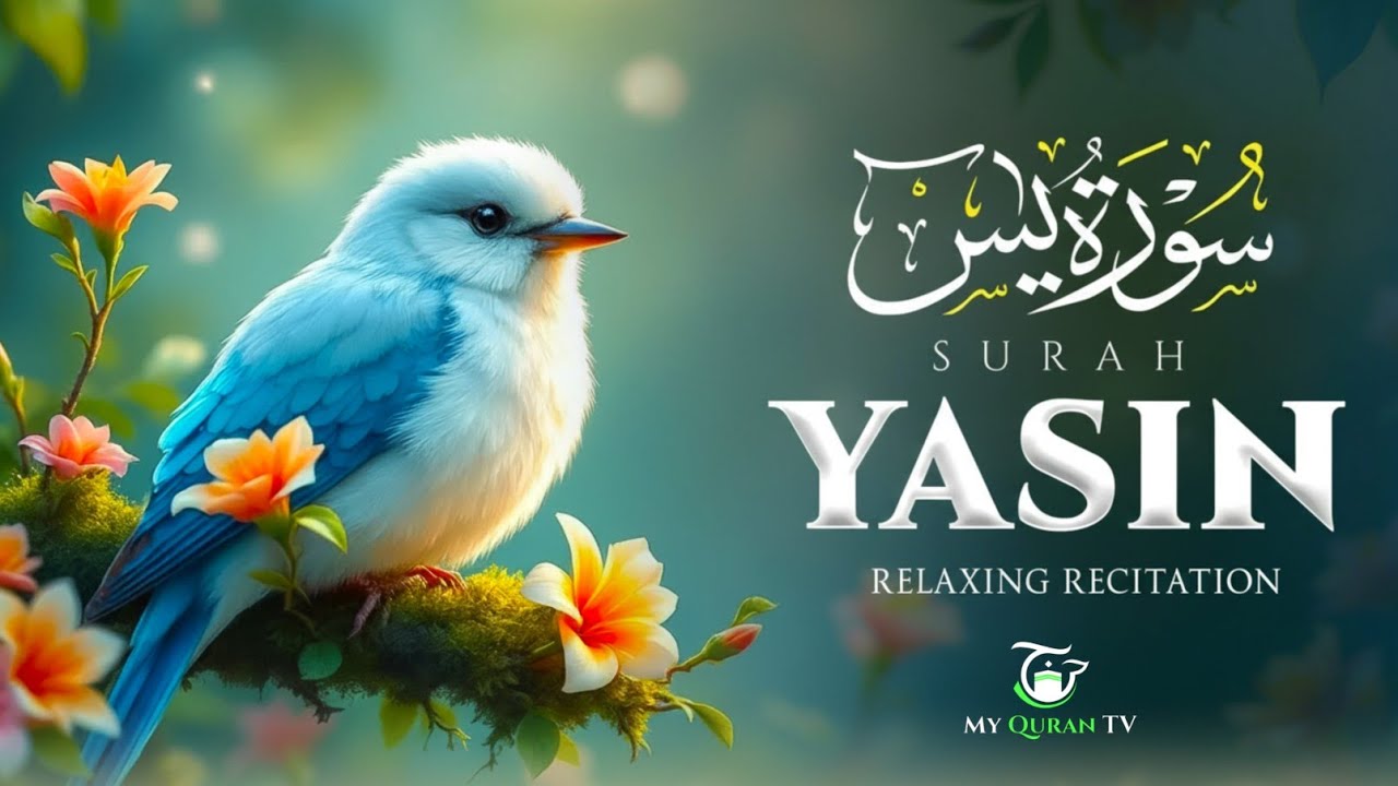 Surah Yasin (Yaseen) سورة يس | Heart-Touching & Soul-Stirring Beautiful Recitation | My Quran TV