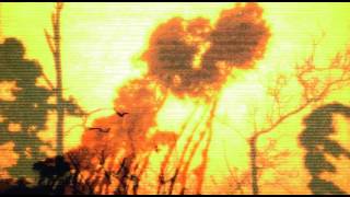 Duane Starpilot - The Houseplants Sing (with lyrics)